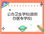 公办卫生学校(政府办医专学校)