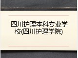 四川护理本科专业学校(四川护理学院)