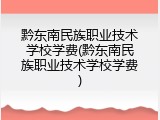 黔东南民族职业技术学校学费(黔东南民族职业技术学校学费)