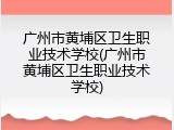 广州市黄埔区卫生职业技术学校(广州市黄埔区卫生职业技术学校)
