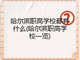 哈尔滨职高学校都有什么(哈尔滨职高学校一览)