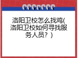 洛阳卫校怎么找鸡(洛阳卫校如何寻找服务人员？)
