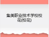 集美职业技术学校校花(校花)