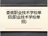娄底职业技术学校单招(职业技术学校单招)