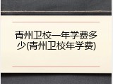 青州卫校一年学费多少(青州卫校年学费)