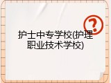 护士中专学校(护理职业技术学校)