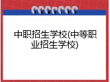 中职招生学校(中等职业招生学校)