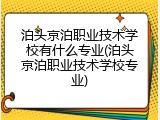 泊头京泊职业技术学校有什么专业(泊头京泊职业技术学校专业)
