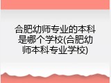 合肥幼师专业的本科是哪个学校(合肥幼师本科专业学校)