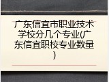 广东信宜市职业技术学校分几个专业(广东信宜职校专业数量)