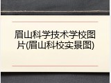 眉山科学技术学校图片(眉山科校实景图)