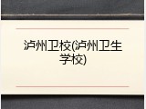 泸州卫校(泸州卫生学校)