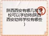 陕西西安有哪几家学校可以学幼师(陕西西安幼师学校有哪些)