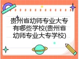 贵州省幼师专业大专有哪些学校(贵州省幼师专业大专学校)