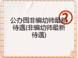 公办园非编幼师最新待遇(非编幼师最新待遇)