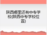 陕西哪里还有中专学校(陕西中专学校位置)