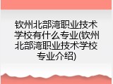 钦州北部湾职业技术学校有什么专业(钦州北部湾职业技术学校专业介绍)