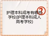 护理本科成考有哪些学校(护理本科成人高考学校)