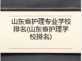 山东省护理专业学校排名(山东省护理学校排名)