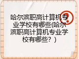 哈尔滨职高计算机专业学校有哪些(哈尔滨职高计算机专业学校有哪些？)