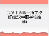 武汉中职哪一所学校好(武汉中职学校推荐)
