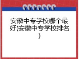 安徽中专学校哪个最好(安徽中专学校排名)