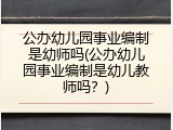 公办幼儿园事业编制是幼师吗(公办幼儿园事业编制是幼儿教师吗？)