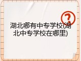 湖北哪有中专学校(湖北中专学校在哪里)