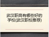 武汉职高有哪些好的学校(武汉职校推荐)