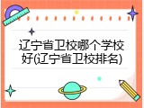 辽宁省卫校哪个学校好(辽宁省卫校排名)
