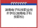 湖南电子科技职业技术学校(湖南电子科技职校)