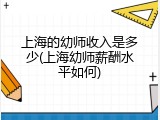 上海的幼师收入是多少(上海幼师薪酬水平如何)