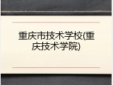 重庆市技术学校(重庆技术学院)