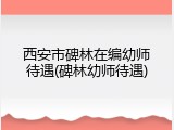 西安市碑林在编幼师待遇(碑林幼师待遇)