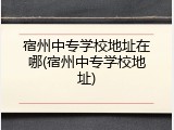 宿州中专学校地址在哪(宿州中专学校地址)