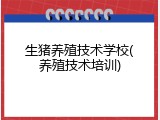 生猪养殖技术学校(养殖技术培训)