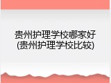 贵州护理学校哪家好(贵州护理学校比较)