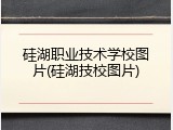 硅湖职业技术学校图片(硅湖技校图片)