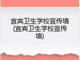 宜宾卫生学校宣传墙(宜宾卫生学校宣传墙)