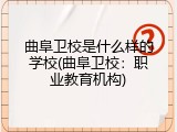 曲阜卫校是什么样的学校(曲阜卫校：职业教育机构)