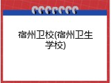 宿州卫校(宿州卫生学校)
