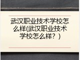 武汉职业技术学校怎么样(武汉职业技术学校怎么样？)