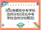 河北有哪些中专学校沧州分校(河北中专学校沧州分校概览)