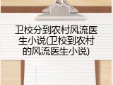 卫校分到农村风流医生小说(卫校到农村的风流医生小说)