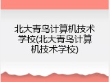 北大青鸟计算机技术学校(北大青鸟计算机技术学校)