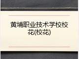 黄埔职业技术学校校花(校花)