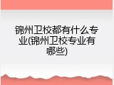 锦州卫校都有什么专业(锦州卫校专业有哪些)