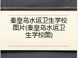 秦皇岛水运卫生学校图片(秦皇岛水运卫生学校图)