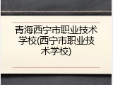 青海西宁市职业技术学校(西宁市职业技术学校)