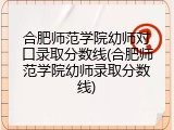 合肥师范学院幼师对口录取分数线(合肥师范学院幼师录取分数线)